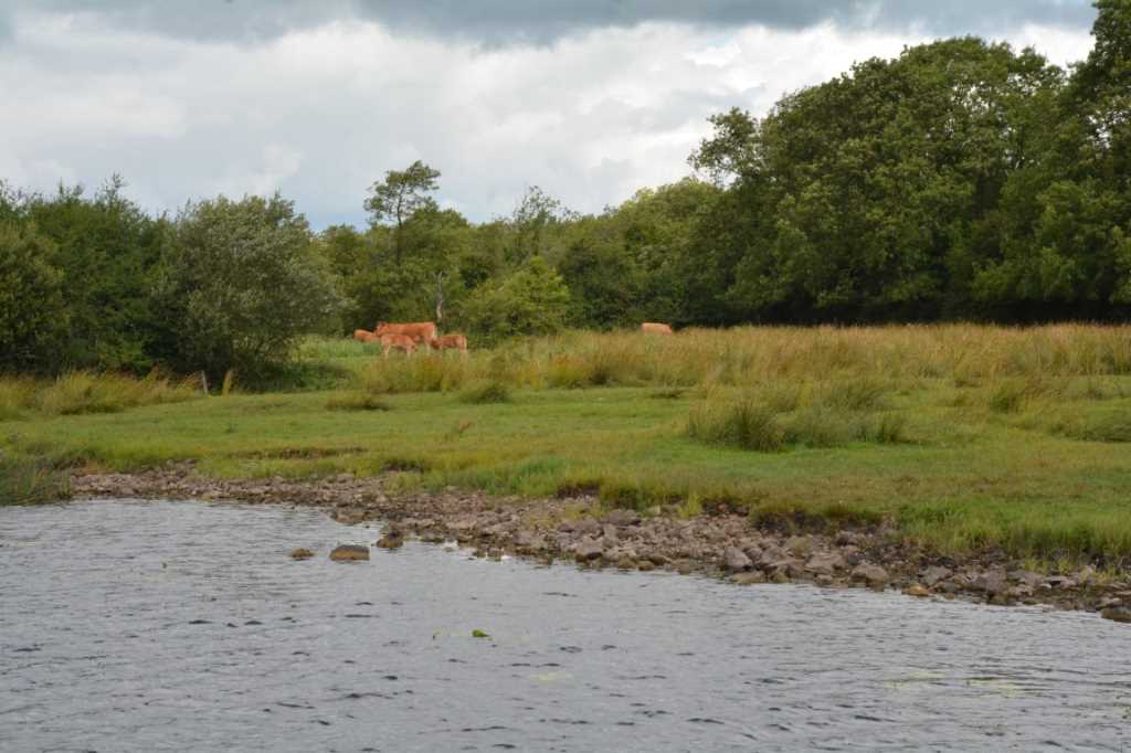 DSC_6128Mittel_.JPG